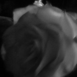 Meet your Posher, Vicky